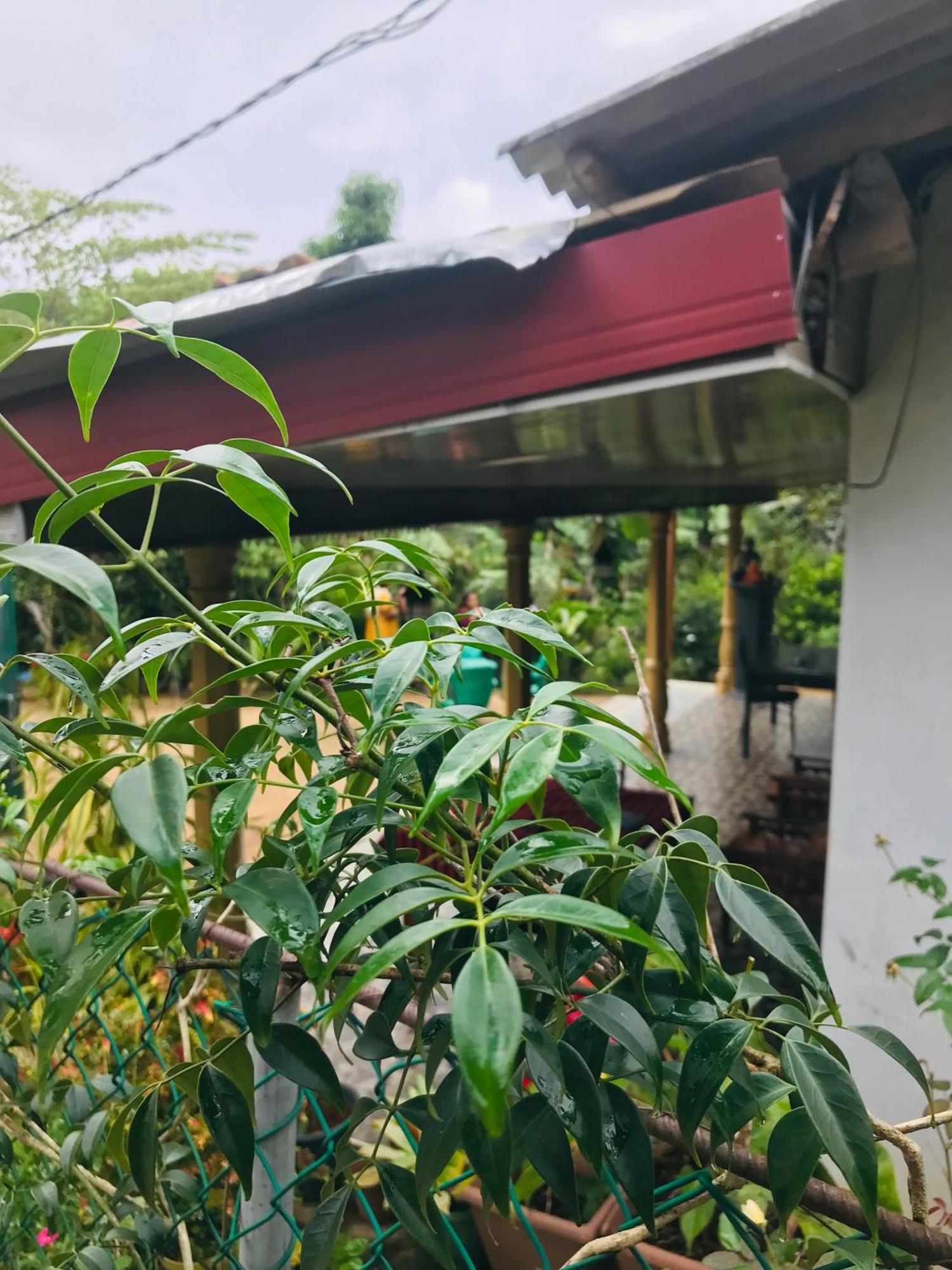 Cinnamon Homestay Ella Exterior photo