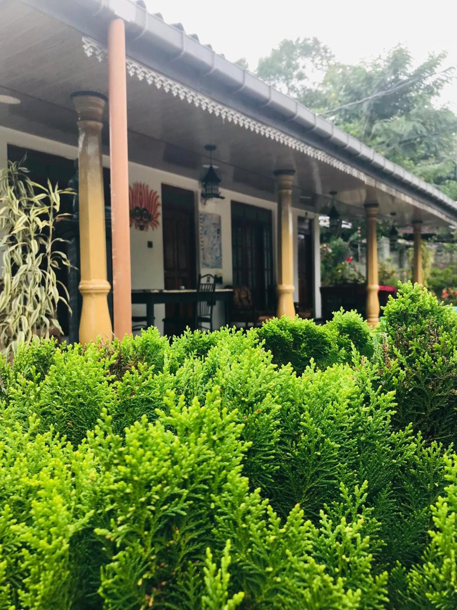 Cinnamon Homestay Ella Exterior photo