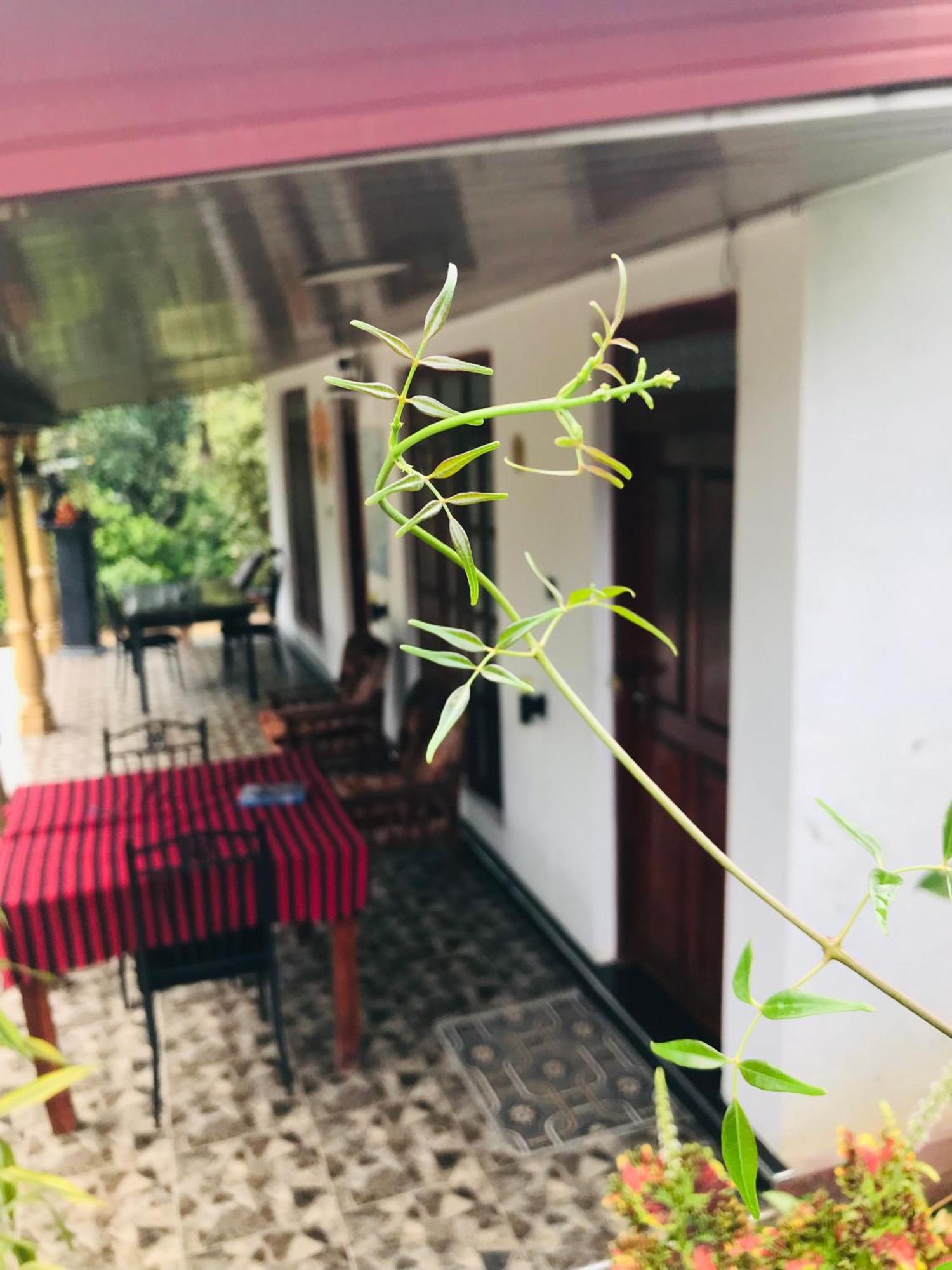 Cinnamon Homestay Ella Exterior photo