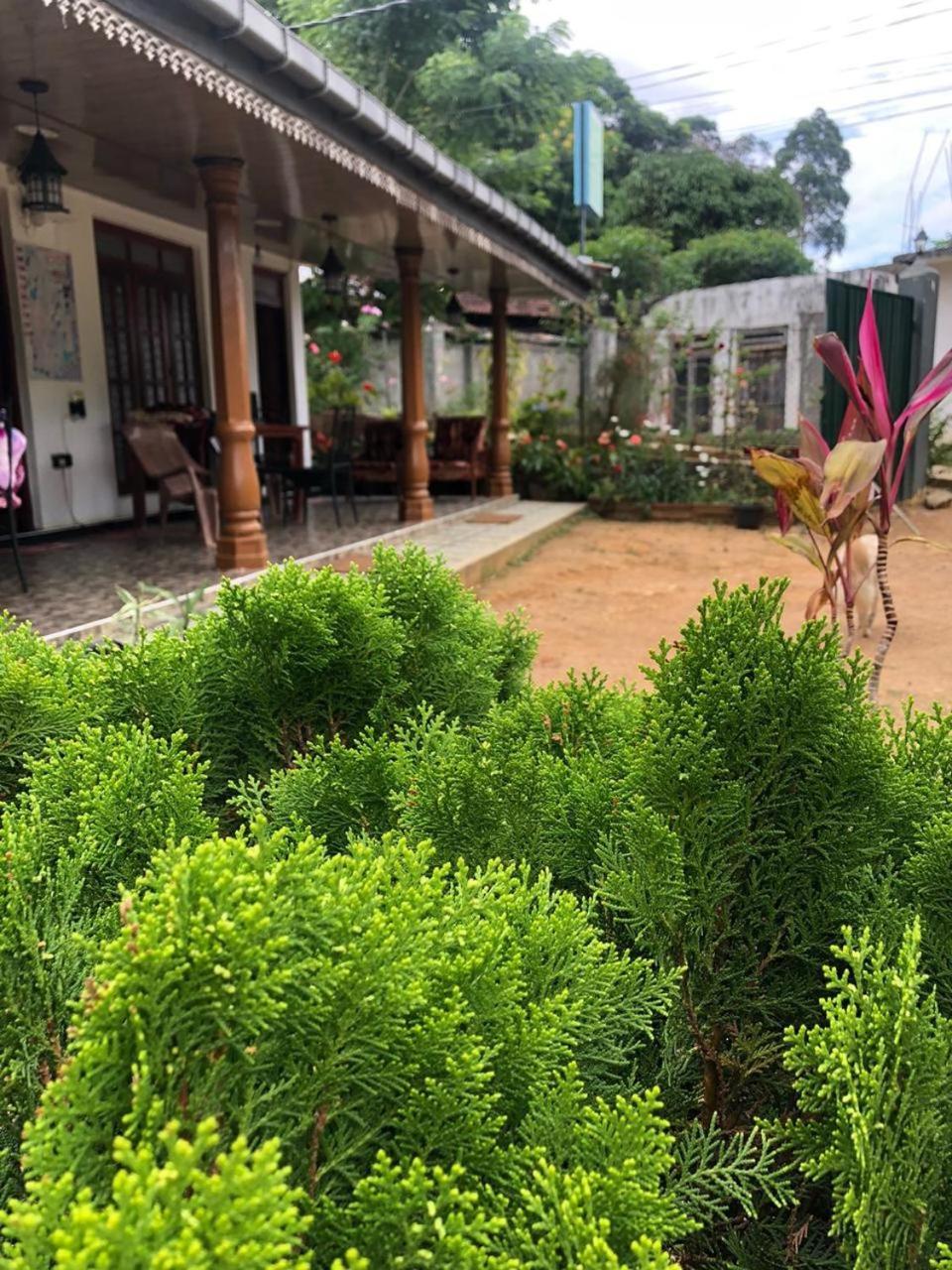 Cinnamon Homestay Ella Exterior photo